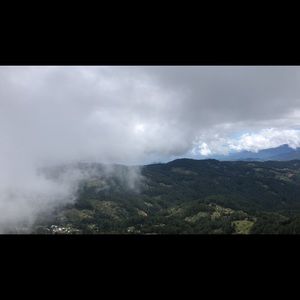 Meet your Posher, Lupe